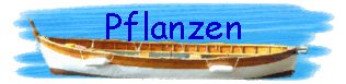 Pflanzen